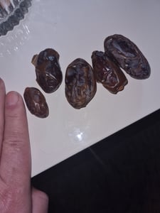 Medjool Datteln – Premium A Qualität – Jumbo & Large – 100% natürliche Datteln aus Palästina – Saftig, frisch, Vegan & Ohne Zusatzstoffe Kunden-Foto 1