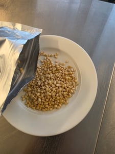 Pinienkerne 250 g | naturbelassen | Grade A1 Kunden-Foto 1