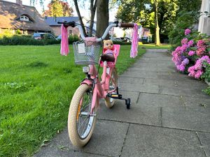 SJOEF Dolly Kinderfahrrad 16 Zoll | Ab 4 - 6 Jahre | Kinder Fahrrad für Mädchen / Jugend | Kleidergröße von 103 bis 118 cm | inklusive Stützräder - Rosa Kunden-Foto 5
