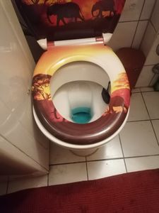 SCHÜTTE WC Sitz PYRAMID, Duroplast Toilettensitz mit Absenkautomatik und Schnellverschluss, Motivdruck Kunden-Foto 3