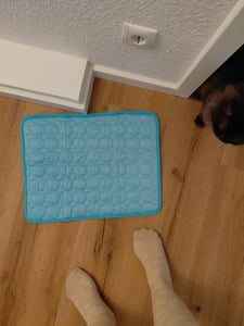 Hundematte Kühlmatte,Rutschfest Haustier Kühlmatte für Hunde,Kühlmatte für Katzen,Haustier Kühlbett für den Innen- und Außenbereich,30 x 40 Kunden-Foto 5