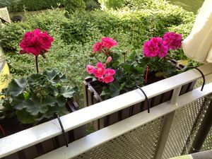 4x Blumenkasten 60 cm Blumentopf mit Halterungen Pflanztopf Wasserstandsanzeiger Balkonkasten Pflanzkästen Braun Kunden-Foto 2