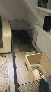 SONGMICS Kleť pro malá zvířata, dvoupodlažní, s voděodolnou podložkou, vhodná pro králíky, rozměry 93 x 63 x 61,5 cm, černá barva Fotografie od zákazníka č. 1