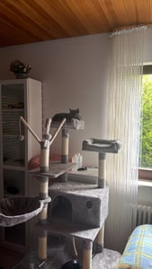 FEANDREA škrabadlo, XXL kočičí strom, 164 cm, světle šedá PCT087W01 Fotografie od zákazníka č. 17