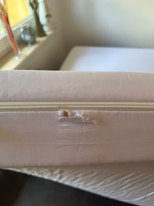 10cm Ergonomische 7-Zonen Kaltschaum Matratzenauflage Matratzentopper Matratzenschoner Topper - H2 - (160 x 200 cm) - Träumegut24 Kunden-Foto 9