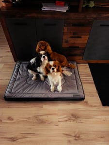Lit orthopédique pour chien, matelas pour chien, Welsti brown bone XL 130x90 antidérapant Photo du client 3