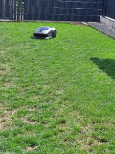 MOVA 1000 Mähroboter – UltraView™ Navigation für bis zu 1000 m², Intelligente Hindernisvermeidung, Kabellose Station, Ideal für große Rasenflächen Kunden-Foto 4