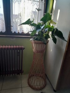 Support pour plantes en osier, 90 cm Photo du client 1
