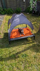 Überdachtes Hundebett Purlov 25428 Kunden-Foto 1