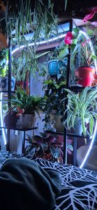 Tribesigns Blumenständer, 2 Stück Pflanzenregal mit 5 Ebenen und 2 Haken, 160cm Hoch Pflanzenständer Metall Blumenregal für Indoor Balkon(Mattschwarz) Kunden-Foto 5