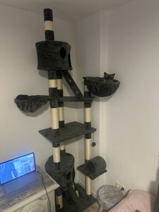 tectake® Kratzbaum Hansi 243 bis 260 cm inklusive 2 Treppen, 2 Spielbällen, Deckenspanner und Kippschutz Kunden-Foto 8