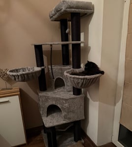 Fobyfurny Kratzbaum Große Katzen Stabil, XXL Katzenbaum, 183 cm, Hellgrau | Großen Höhlen, 11 cm Dicker Sisalpfosten, Plattformen, Fellpflegegerät Kunden-Foto 1