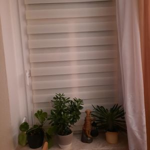 Sonello dvojitá roleta Klemmfix bez vrtání Duo roleta Klemmrollo roleta s ochranou proti slunci okenní roleta na okna a dveře zebra roleta roleta s bočním vedením 80 cm x 150 cm Přírodní Fotografie od zákazníka č. 1