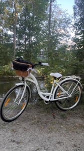 Milord Komfort Fahrrad Mit Weidenkorb Damenfahrrad, 28 Zoll, Rosa, 7 Gang Shimano Kunden-Foto 2