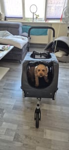 DOGGYHUT® Premium MEDIUM remorque à vélo 2en1 pour chien et jogger Photo du client 2