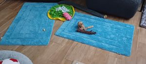 Koupelnová předložka Atlantis v různých barvách a velikostech Béžová 70 x 120 cm Fotografie od zákazníka č. 2