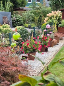 Edelrost Glasblume Ferrum, rosa-lila Kugeln Kunden-Foto 1