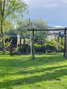 Vogelschutznetz 4 x 5m Laubschutznetz Gartennetz Teichnetz Obstbaumnetz Schutznetz sehr stark 30 g/m2 Kunden-Foto 2
