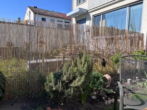 Windhager Schilf Sichtschutzmatte, 1,2 m hoch, stabil mit Eisendraht, dekorativ für Garten, Balkon & Terrasse Kunden-Foto 3