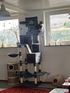Unsere Katze liebt ihn 