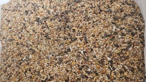 Wildvogelfutter 25kg Vogelfutter Vierjahreszeiten Energiereich Naturrein GiDeli Kunden-Foto 1