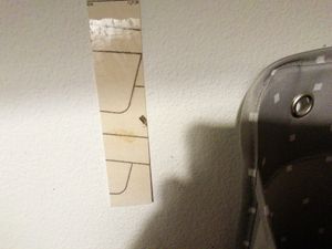 inseko 12x Lebensmittelmotten Falle I insektizidfrei & geruchlos I Lebensmittelmottenfalle Germany - 3 Packungen (442215) Kunden-Foto 3
