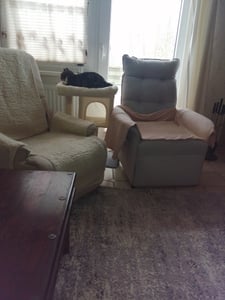 Feandrea Kratzbaum, 74 cm Katzenbaum, M, Katzenhaus für mittelgroße Katzen bis zu 5 kg, große Plattform, 2 Katzenhöhlen, Sisalstämme, hellgrau PCT612W01 Kunden-Foto 1