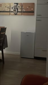 Stolthoff Mini Gefrierschrank 32 L, Gefrierschrank klein, 4 Sterne Tiefkühlschrank bis -18 °C, 39 dB leise, Gefrierwürfel freistehend, sparsam, Weiß Kunden-Foto 1