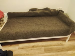 Merino Wolldecke 100% Schurwolle – Kuscheldecke aus Merino Schafwolle – Flauschige Decke, Atmungsaktiv, Wärmeregulierend, Hautfreundlich Kunden-Foto 1