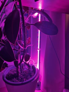 80cm rostlina lampa LED plné spektrum 3 světelné režimy rostlina světla podlahová lampa pokojové rostliny rostou světla s časovačem Fotografie od zákazníka č. 1