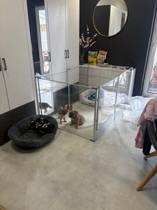 WISFOR, recinto para cachorros moderno, 163x102.5x80 cm, jaula para cachorros de 6 piezas, fabricada con acrílico. Recinto para perros, jaula para animales, con puerta. Rejilla para cachorros, apta para perros y conejos Foto del cliente 2