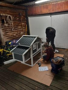 Mucola Hühnerstall inkl. 2 Nestboxen und Rampe Rollbar Hühnerhaus Geflügelstall Holz Huhn Gefügelstall Hühner Käfig Legeboxen Mobil Kunden-Foto 1