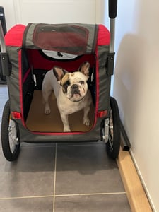 DOGGYHUT Large Fahrradanhänger & Hundebuggy 2 in 1 für Hunden bis 35kg Hundeanhänger Jogger Hundewagen mit Feststellbremse Kunden-Foto 6