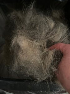 REAVET Hundebürste & Katzenbürste Unterwollbürste für Langhaar I Große Rassen (Größe M-L) I Entfernt Unterwolle & Verfilzungen I mit Massageffekt & Deckhaarschutz I Fellbürste für Hunde, Katzen Kunden-Foto 1