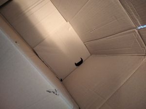 Case sind alle, im meinem Fall 3 Stück beschädigt 