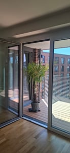 Palme XL 120-150 cm Trachycarpus fortunei, Hanfpalme, winterhart bis -18°C Kunden-Foto 3