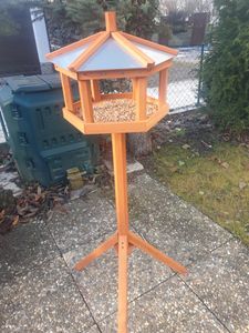 sieht gut aus im Garten