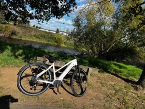 Prophete Entdecker 3.0 Trekking E-Bike 28 Zoll - 360Wh - Integrierter Akku - Mittelmotor AEG - 9-Gang Kettenschaltung - Rahmenhöhe 54 cm Kunden-Foto 1