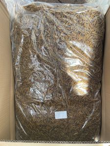 Futterbauer Futterrosinen 10 kg, Energiereiche Rosinen für Wildvögel, schnabelgerechte Happen, staubfrei & naturbelassen Kunden-Foto 3