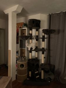 tectake® Kratzbaum Hansi 243 bis 260 cm inklusive 2 Treppen, 2 Spielbällen, Deckenspanner und Kippschutz Kunden-Foto 1