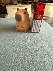 Forever Light Nachtlicht, Silikon-Nachtlicht dimmbar, Capybara-Licht, USB wiederaufladbares Nachtlicht, Touch-Timing, Einschlafhilfe Kunden-Foto 1