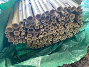 Sol Royal Bambus Sichtschutz Zaun SolVision B38, 90x250cm, 100% Bambus Kunden-Foto 8