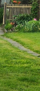 PINEEA Staketenzaun aus Haselnuss 60 cm Hoch – 5m Langer Holzzaun für Garten, Pflanzenschutz & Deko – Wetterfest – Lattenabstand 7–8 cm Kunden-Foto 4