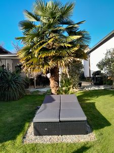 CASARIA Sonnenliege Polyrattan 2 Personen Kunden-Foto 1