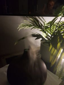 Aroma Diffuser, Luftbefeuchter 500ml Essential Oil Duftlampe mit Timer und 7 Farben LED, für Aromatherapie-Raum/Yoga/Büro/SPA/Schlafzimmer Kunden-Foto 1
