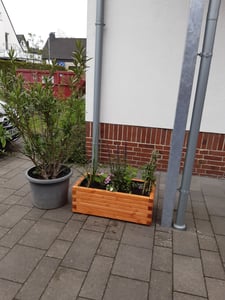 Pflanzkübel Kiefer - Pinie Lasiert 120 x 40 cm Blumenkasten Blumenkübel Hochbeet Kunden-Foto 4