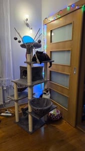 tectake® Kratzbaum Lilou 165 cm inklusive 4 Spielbällen, Kordel und Kippschutz Kunden-Foto 1