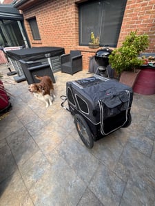 Doggyhut S-Line XXL remorque pour chien & buggy pour chien avec suspension 2 en 1 remorque de vélo pour chien Jogger à suspension jusqu'à 45 kg Photo du client 4