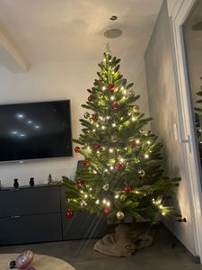 Hoogwaardige kunstkerstboom, Spaanse dennensoort, 220 cm Klantenfoto 20