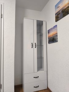 Merax Standvitrine mit LED-Beleuchtung, Hochglanz Front Vitrine mit großem Stauraum, Vitrinenschrank, Höhe: 182cm Kunden-Foto 1
